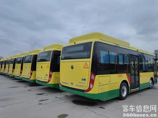 1671158869320290.jpg 5.jpg