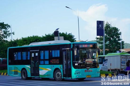 1671184733344011.jpg 11.jpg