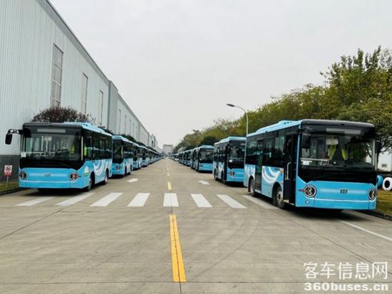 1671675702412169.jpg 2.jpg