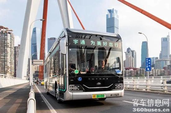 1671776632786587.jpg 5.jpg