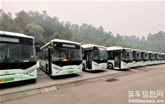 1672037776730673.jpg 1.jpg