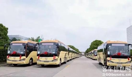 1672116490862806.jpg 3.jpg