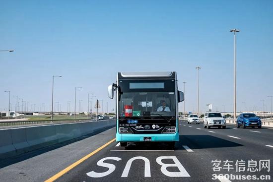 1672972790109248.jpg 4.jpg