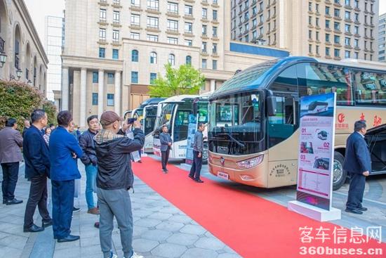 1681266545418955.jpg 15.jpg