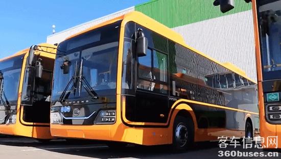 1682043091764119.jpg 3.jpg