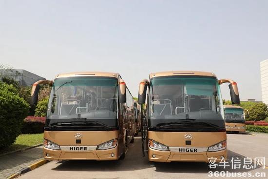 1683171580462452.jpg 4.jpg