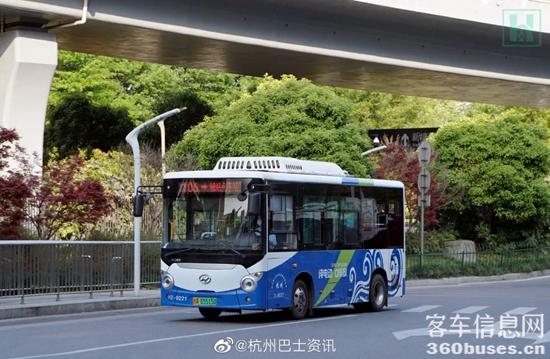 1683172769586402.jpg 4.jpg