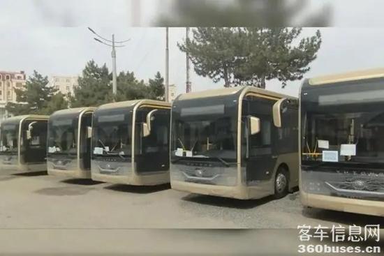 1683514809960732.jpg d4628535e5dde71115df270a37e4ed179c1661d0.webp.jpg