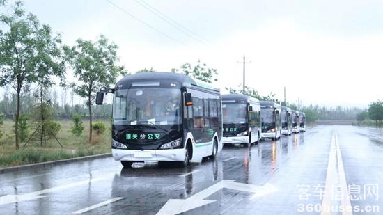 1683520034629431.jpg 1.jpg