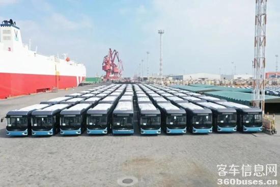 1684740744182157.jpg 4.jpg