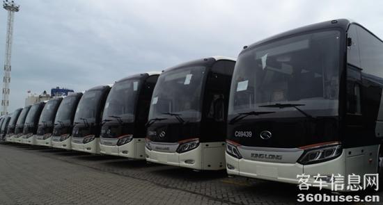 1684740752480349.jpg 5.jpg