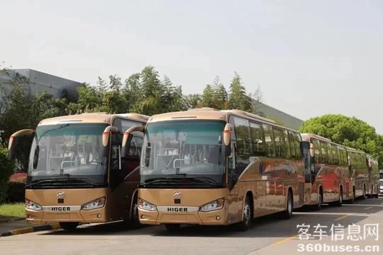 1685345598889944.jpg 2.jpg