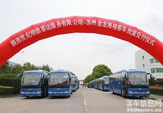 1686275828485251.jpg 1.jpg