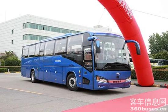 1686275847288255.jpg 4.jpg