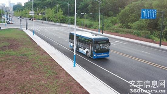 1686303408377648.jpg 10.jpg