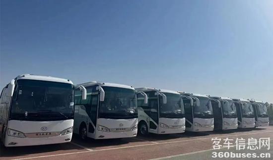 1686536027328076.jpg 3.jpg