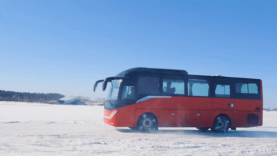 1687140838112037.gif 1.gif