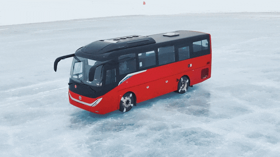 1687140846781265.gif 2.gif