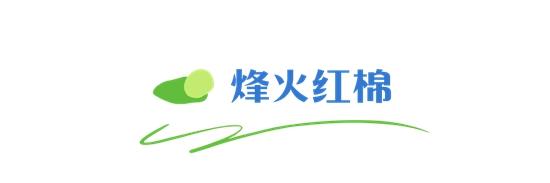 1689298196338315.jpg 5.jpg