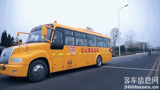 1691117255146351.jpg 9.jpg