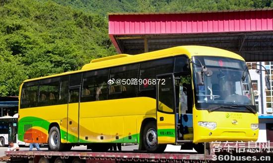 1691374524373873.jpg 1.jpg