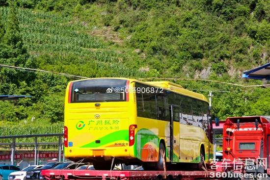 1691374584936286.jpg 4.jpg