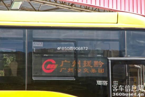 1691374613607276.jpg 5.jpg