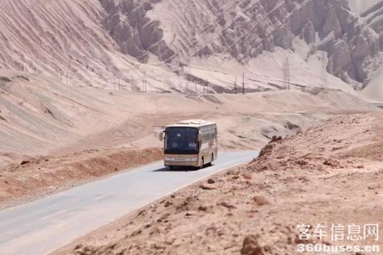 1691458196177625.jpg 04.jpg