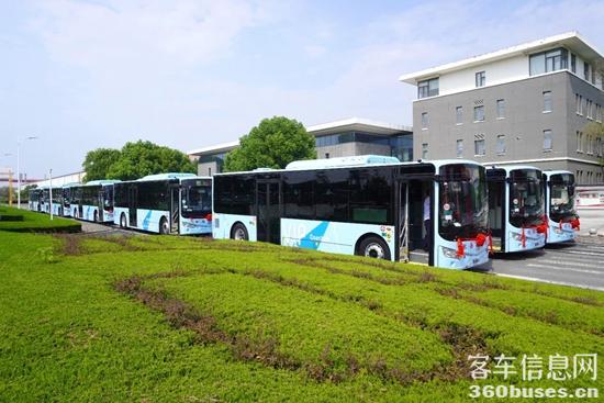 1692150803481374.jpg 3.jpg