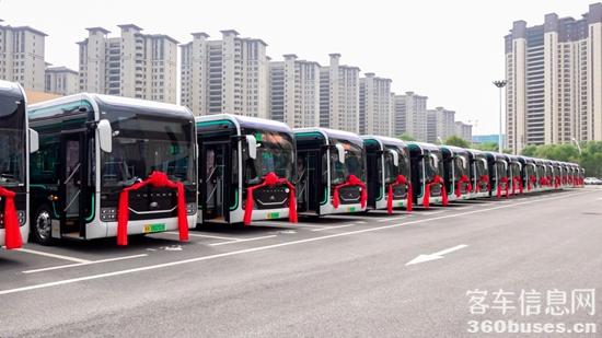 1692403596502669.jpg 1.jpg