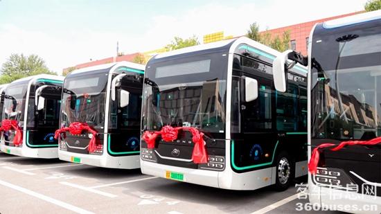 1692403667768036.jpg 12.jpg