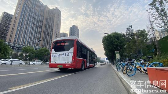 1694138940314189.jpg 1.jpg