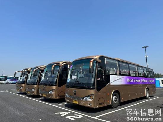 1695691692607737.jpg 8.jpg