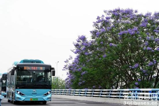 1695691989931929.jpg 1.jpg