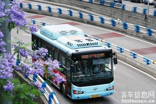 1695692365654298.jpg 19.jpg