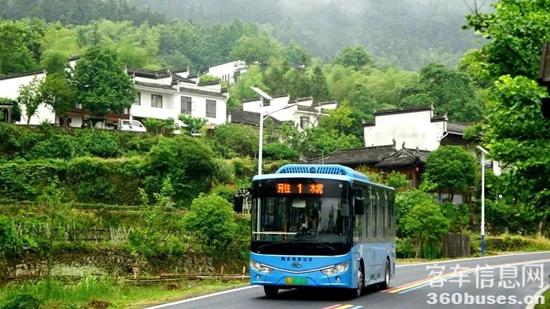 1699238003213477.jpg 1.jpg