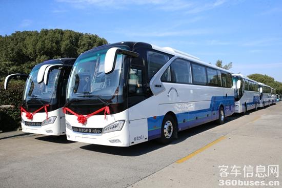 1703128529560247.jpg 1.jpg