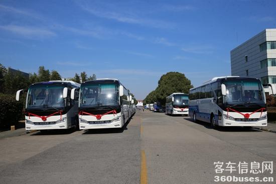 1703128567365880.jpg 5.jpg