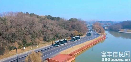 1704162817238860.jpg 8.jpg