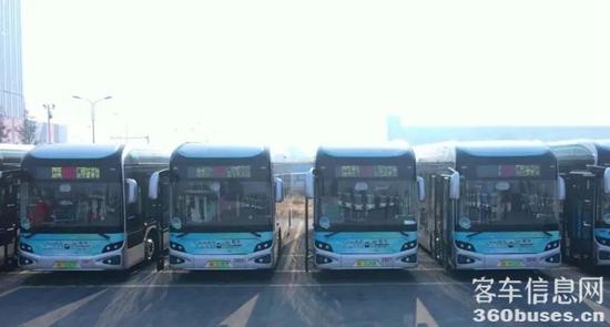 1704162826396149.jpg 9.jpg