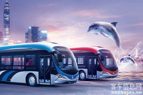 1704169874748973.jpg 3.jpg