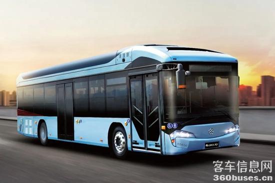 1704170027705498.jpg 6.jpg