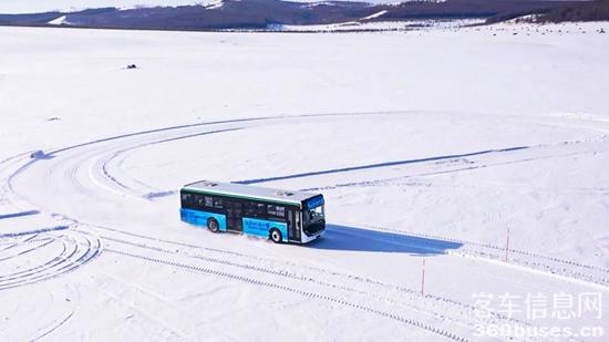 1705024681838863.jpg 10.jpg