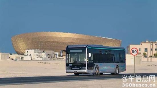 1705024687922944.jpg 11.jpg