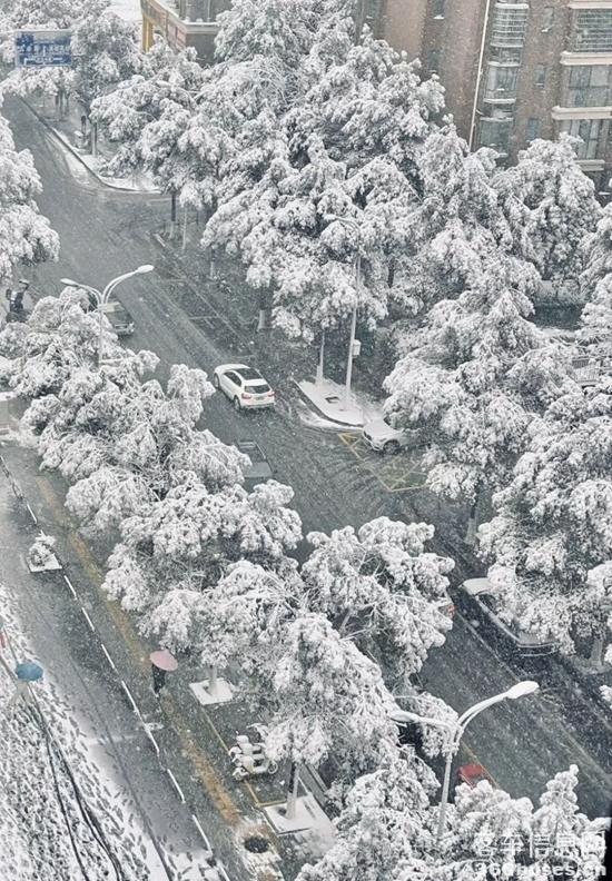 1705993065545739.jpg 1.jpg