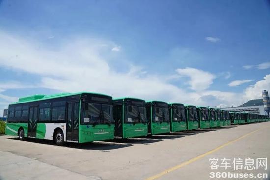 1706248016741816.jpg 7.jpg