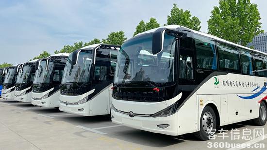 1706668524576251.jpg 4.jpg