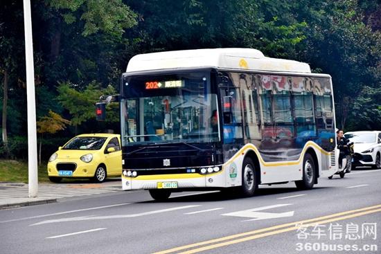 1712455574131625.jpg 8.jpg