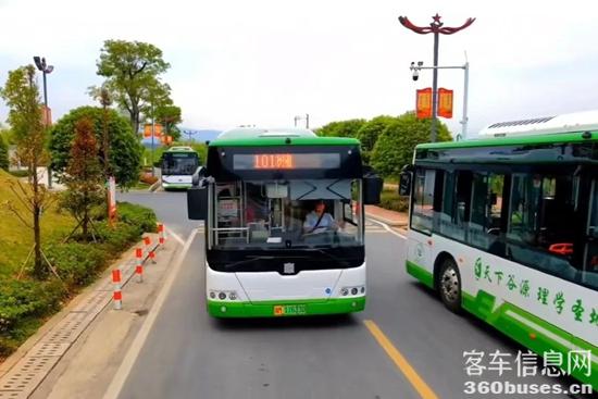 1712455601754043.jpg 10.jpg