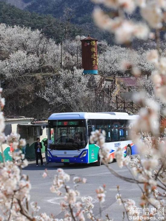 1712455616447909.jpg 11.jpg